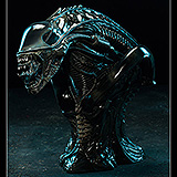 Aliens - busta Alien Warrior 34 cm
