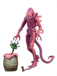 Aliens - figúrka Xenomorph Warrior (Arcade Appearance) 23 cm