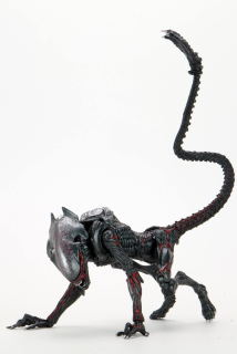 Aliens - figúrka Night Cougar Alien (Kenner Tribute) 23 cm